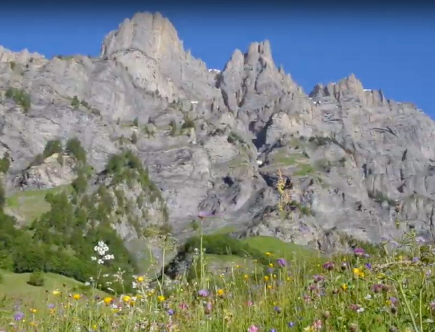 Création des sites internet / web, photographie & vidéo - Sion - Martigny - Sierre - Valais